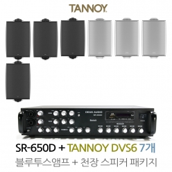 탄노이 벽부형스피커 DVS6 7개 SR-650D 상업용 음향패키지